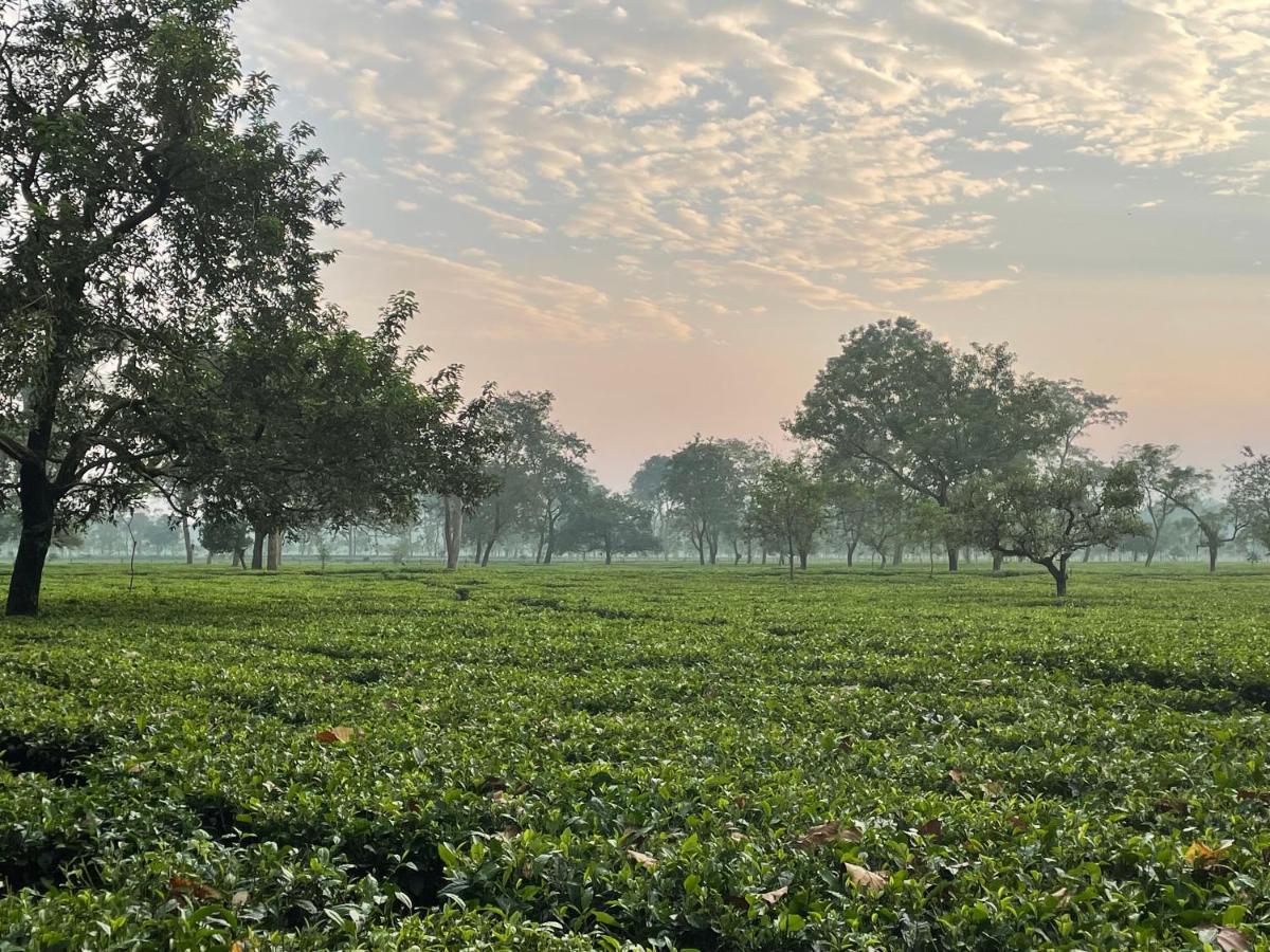 Tea Resort Saraswatipur Shaugaon Esterno foto