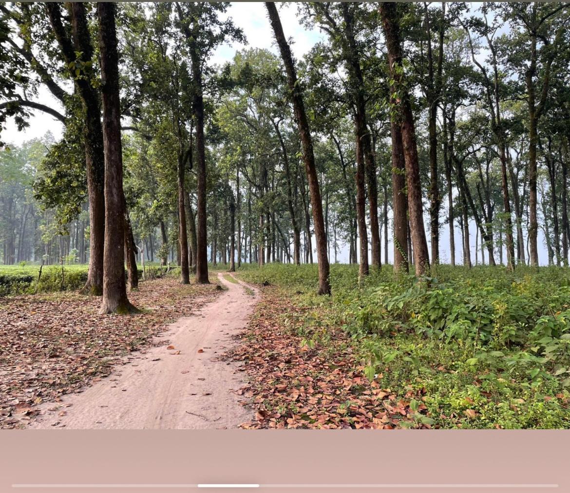 Tea Resort Saraswatipur Shaugaon Esterno foto